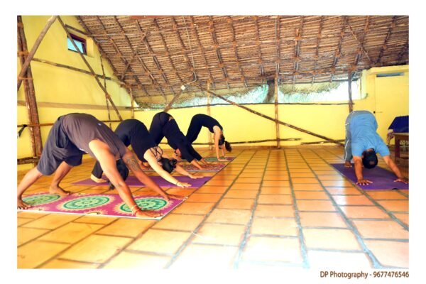 practise sivananda yoga class at Sita cultural center in Pondicherry